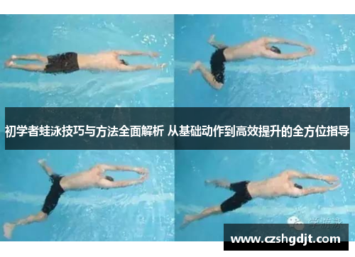 初学者蛙泳技巧与方法全面解析 从基础动作到高效提升的全方位指导