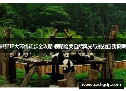 熊猫坪大环线徒步全攻略 领略绝美自然风光与挑战自我极限