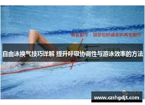 自由泳换气技巧详解 提升呼吸协调性与游泳效率的方法